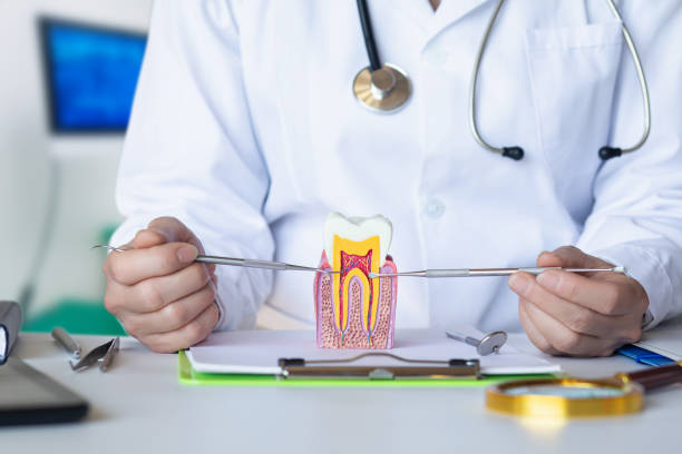 Best Urgent Care for Lost Fillings or Crowns in Creve Coeur, IL